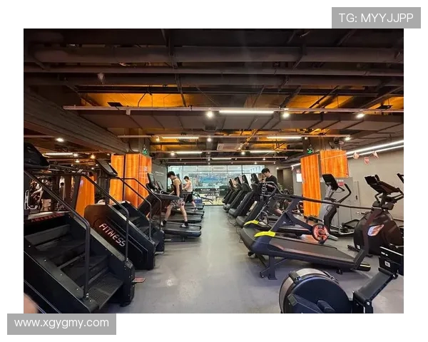 鹰伯尔智能私教系统：在家练出健身房效果